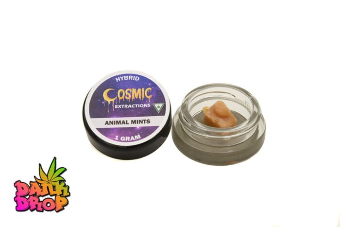 Cosmic Extractions - 1G Cured Resin - Animal Mints