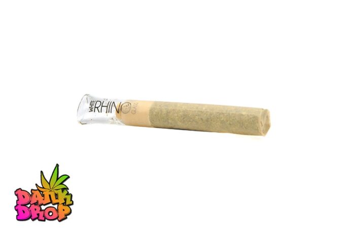Turnt Labs - 1.5G Bazooka Joint w/Glass Tip - Pure Cookies