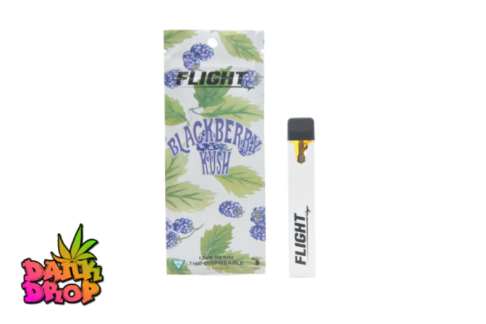 FLIGHT - 1G Disposable Vape - Blackberry Kush